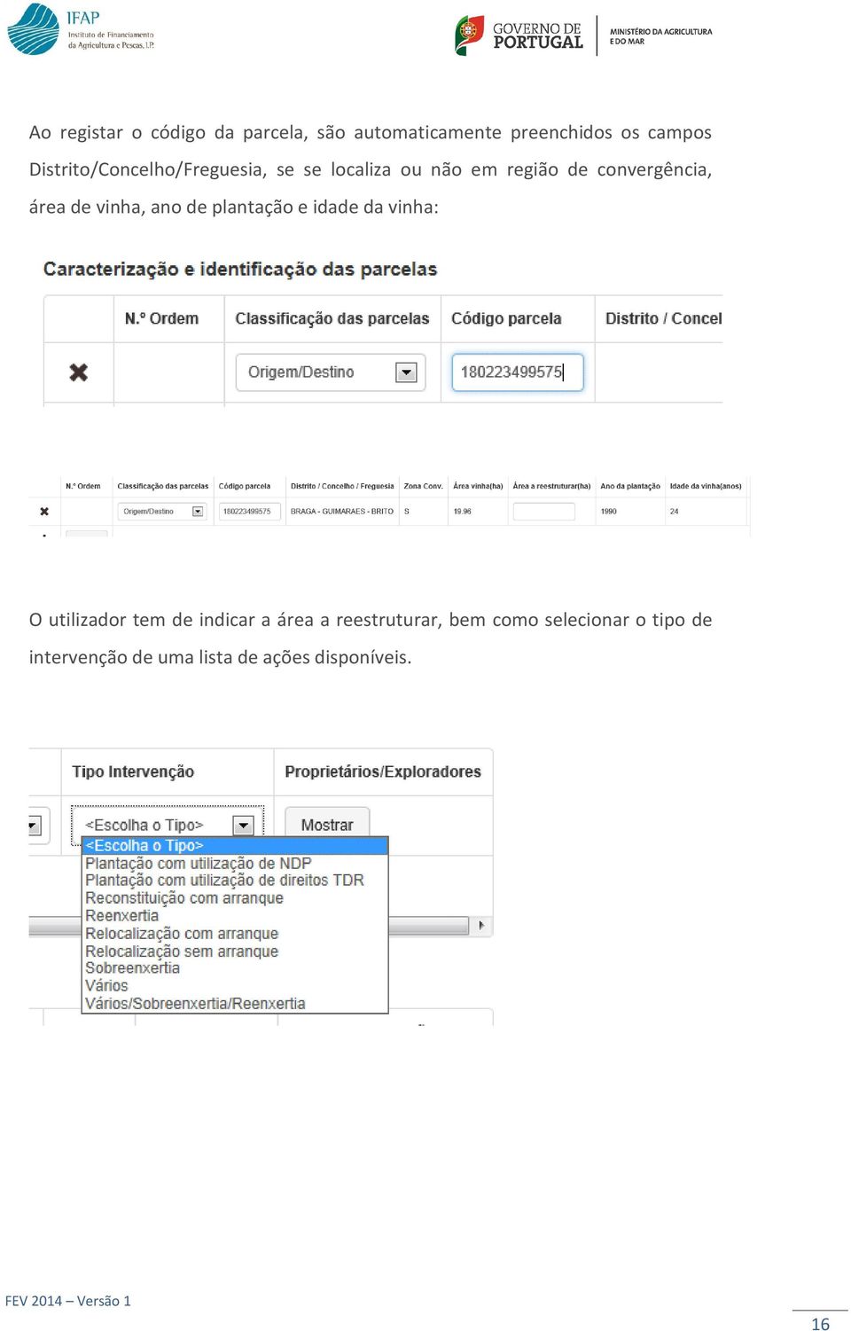 de vinha, ano de plantação e idade da vinha: O utilizador tem de indicar a área a