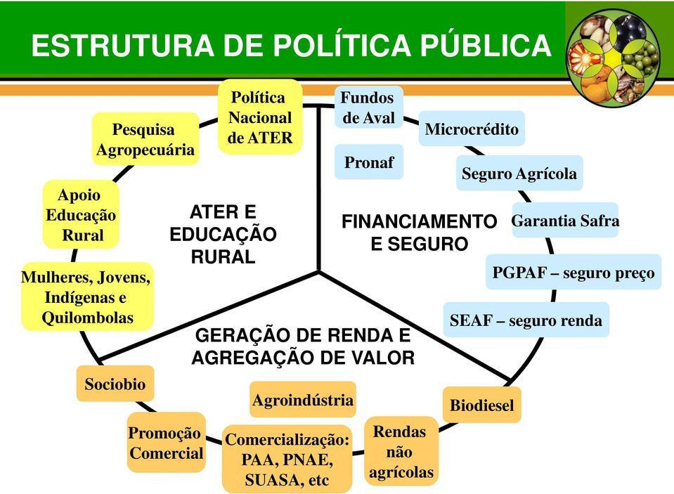 GERAÇÃO DE RENDA E AGREGAÇÃO DE VALOR Agroindústria Comercialização: PAA, PNAE, SUASA, etc Microcrédito