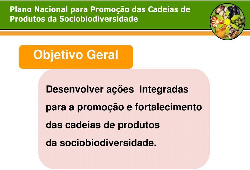 promoção e fortalecimento das