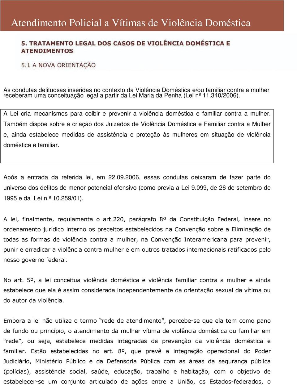 Também dispõe sobre a criação dos Juizados de Violência Doméstica e Familiar contra a Mulher e, ainda estabelece medidas de assistência e proteção às mulheres em situação de violência doméstica e