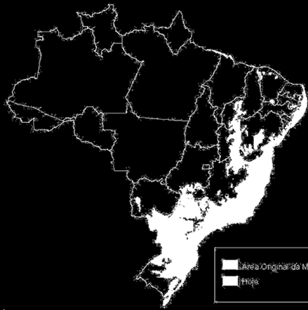 BNDES Mata Atlântica Investimento Verde: Criando Empregos e Desenvolvendo Economias Locais Iniciativa BNDES Mata Atlântica Criando Empregos e Desenvolvendo Economias Locais Menor que a Amazônia, mas