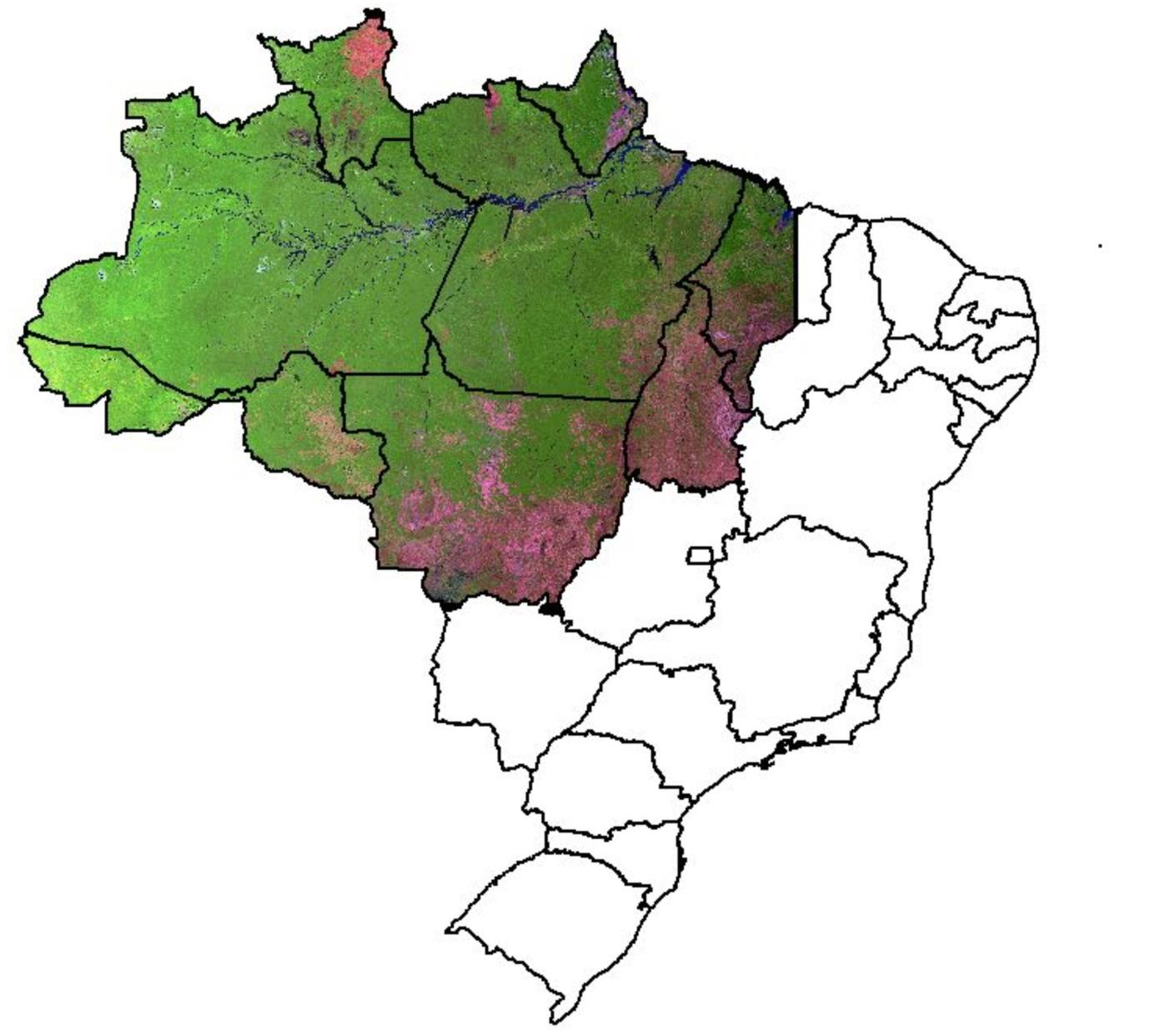 61% emissões brasileiras: - Mudança no uso do solo e floresta Desafio - integrar a Amazônia ao restante da economia 39% emissões: -