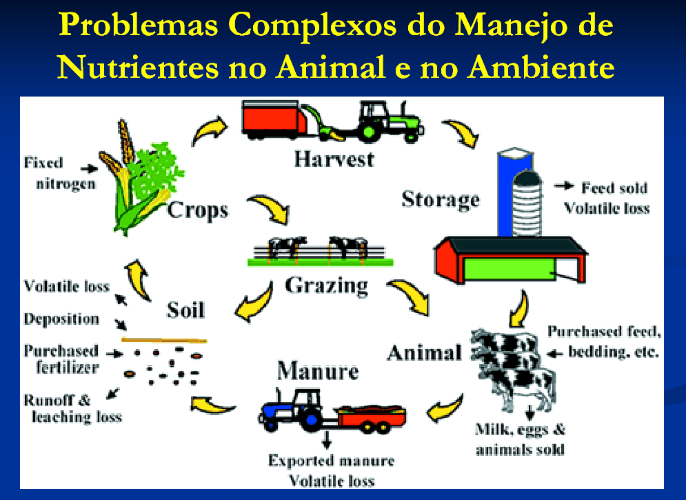 Exemplo modelo dinâmico Crescimento em frangos Ferramentas 6 5 4 3 2 1,3,2,1 5 1 15,25,15,5 Gompertz Curve Relative Growth Planilhas de dados Excel, Lotus, Access, Dbase, OOChart, OBR, etc.