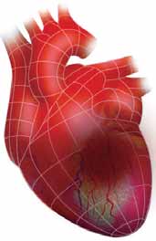 Porque usar Ondas de Choque na Cardiologia? Características das Ondas de Choque O que são ondas de choque?