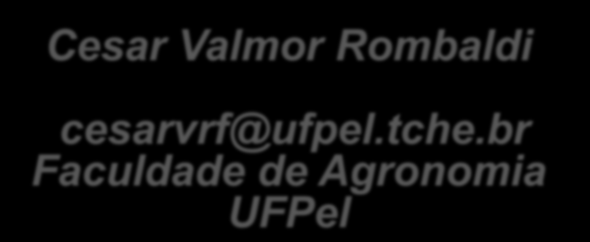 Cesar Valmor Rombaldi cesarvrf@ufpel.