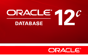 UPGRADE PARA VERSÃO 12 A Versão 12c em seu upgrade 12.1.0.2 é a versão mais nova do banco de dados Oracle até o momento. É uma versão já bem estável, com diversos bugs corrigidos e bastante usual.