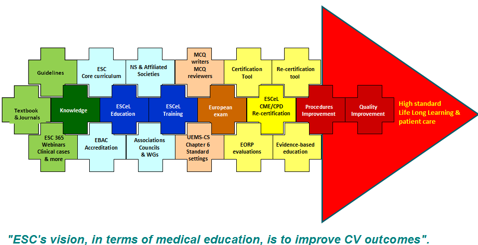 2 Outro aspecto inovador resulta do facto desta nova versão da plataforma ESCeL permitir a educação médica continuada (CME) e o desenvolvimento profissional contínuo (CPD), quer para aqueles que