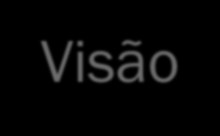 INNOVATION MANAGEMENT OFFICE Missão Fomentar e articular os movimentos de inovação para gerar novas oportunidades de negócios para a Algar Telecom.