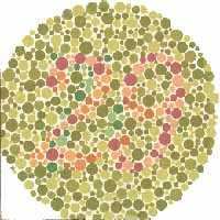 Aquilo que, para uma pessoa é normal, é verde ou vermelho, para esse daltônico é cinzento em várias tonalidades.