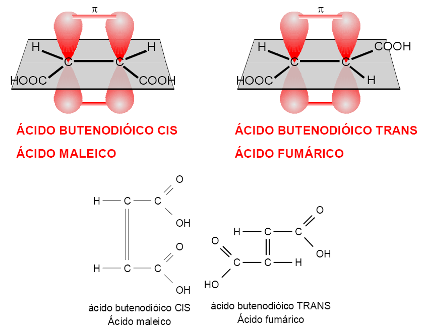 Exemplo 1: O ácido butenodióico cis é chamado