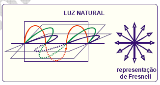 ISOMERIA ÓPTICA Luz natural e luz polarizada Luz comum (ou natural); É formada por ondas eletromagnéticas, sendo que as elétricas vibram em um plano