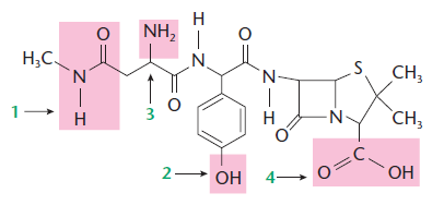Química Orgânica Identificação de A aspoxicilina, abaixo representada, é uma substância utilizada no