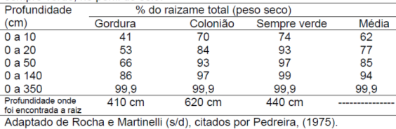 Distribuição do sistema radicular do capimgordura, çapim-colonião e capim-sempre verde, no perfil do solo. ~80% das raízes estão na Prof.