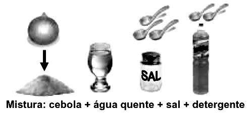 Volume celular Identidade Funcional da Vida 08. que, na difusão facilitada, o transporte do soluto ocorre em direção ao maior gradiente de concentração com gasto de ATP. 16.