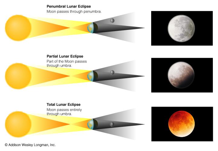 Eclipse Lunar Eclipse Penumbral Lua passa pela penumbra Eclipse Parcial Lua passa parcialmente pela umbra Ocorre quando a Lua passa pela sombra