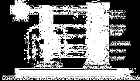 O Papel do Perispírito Os pontos de contato do Perispírito com o corpo físico são os nervos, o córtex motor e