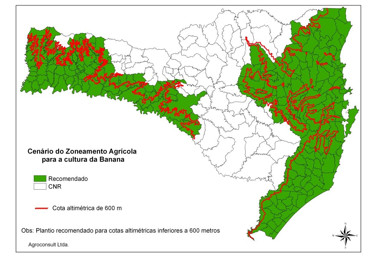 PROJEÇÃO: Aumento