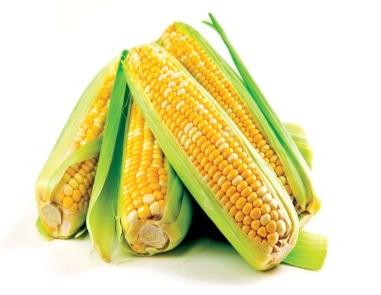 FONTES RENOVÁVEIS O milho também é uma matéria-prima interessante, visto que é fonte de amido que pode ser hidrolisado a glucose. Figura 6 : Rotas de síntese do ácido adípico.