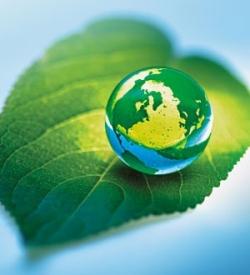 CONCLUSÃO Também é importante a regulamentação de leis rígidas no âmbito ambiental e o desenvolvimento de processos verdes mais econômicos.