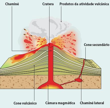 Estrutura