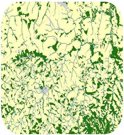 Conectividade na paisagem Dados sobre o movimento