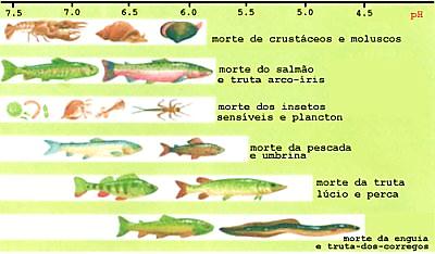 Entendendo os danos - fauna Rios e lagos ph entre 6,0 e 8,0 atinge valores próximos de