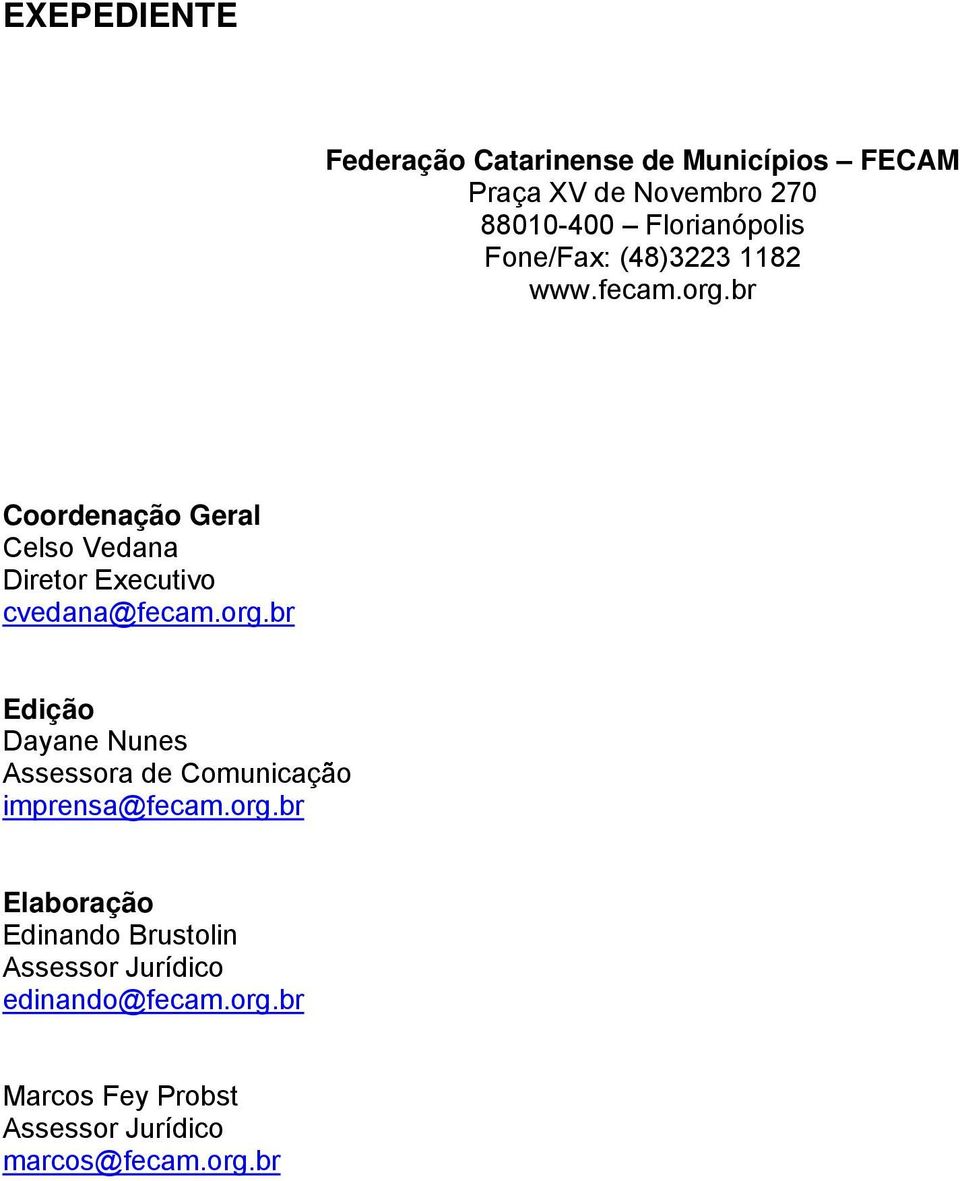 br Coordenação Geral Celso Vedana Diretor Executivo cvedana@fecam.org.