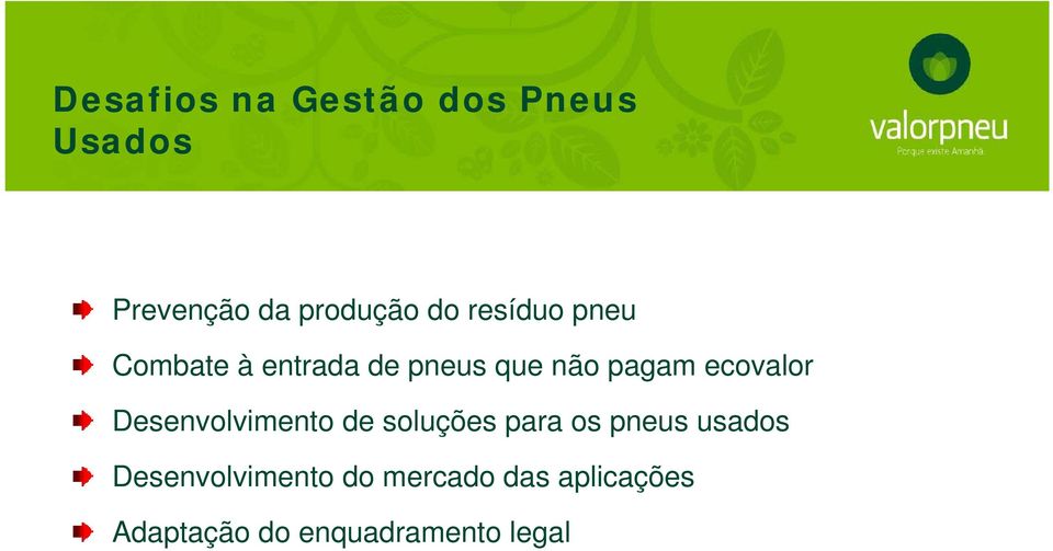 ecovalor Desenvolvimento de soluções para os pneus usados