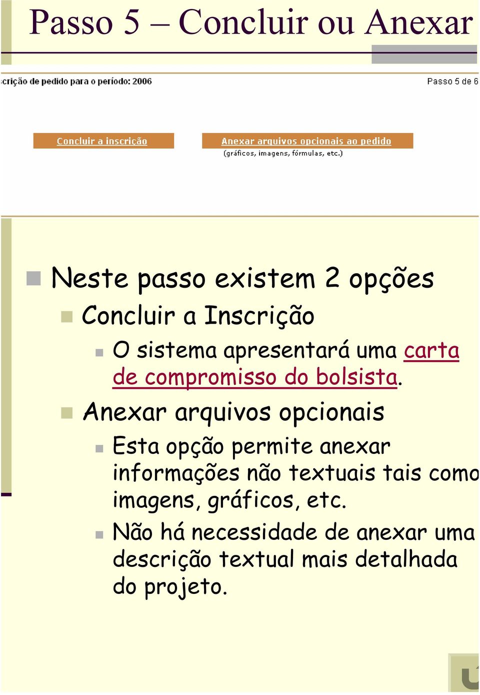 Anexar arquivos opcionais Esta opção permite anexar informações não textuais tais