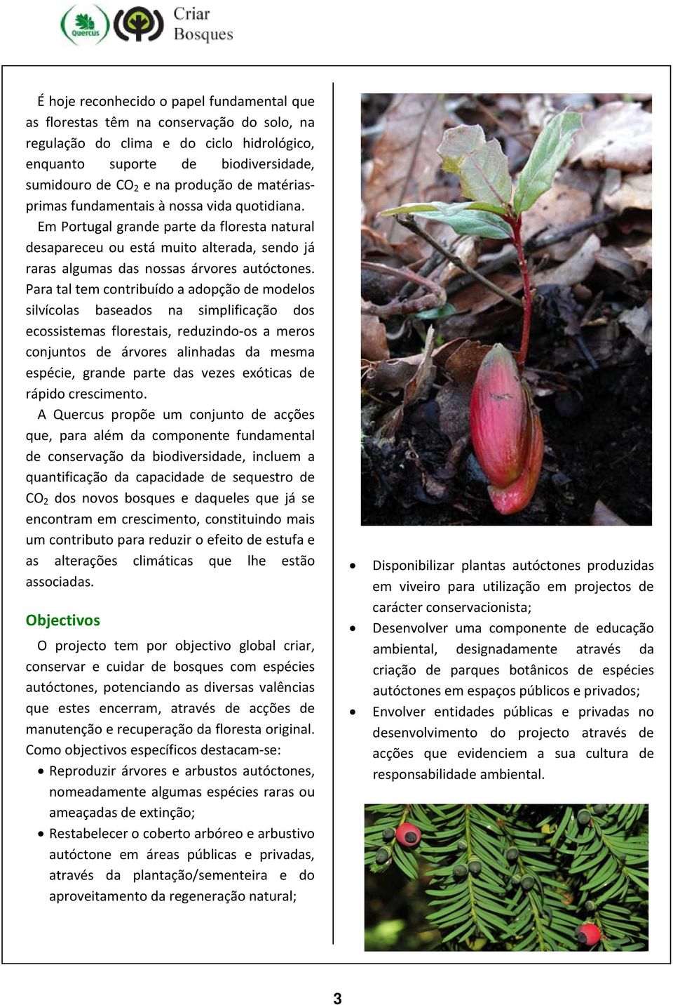 Para tal tem contribuído a adopção de modelos silvícolas baseados na simplificação dos ecossistemas florestais, reduzindo os a meros conjuntos de árvores alinhadas da mesma espécie, grande parte das