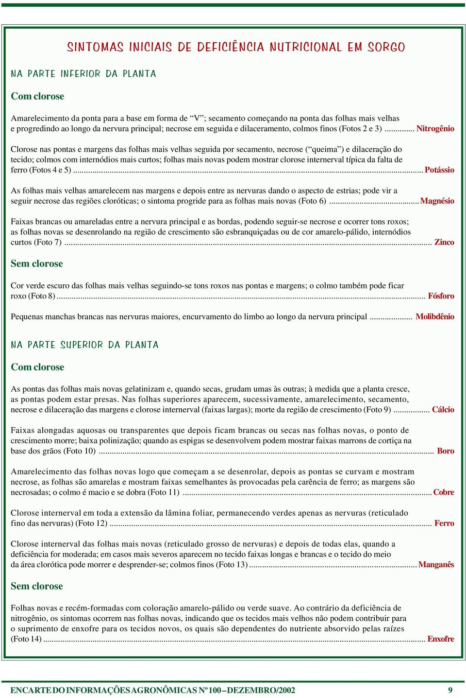 .. Nitrogênio Clorose nas pontas e margens das folhas mais velhas seguida por secamento, necrose ( queima ) e dilaceração do tecido; colmos com internódios mais curtos; folhas mais novas podem