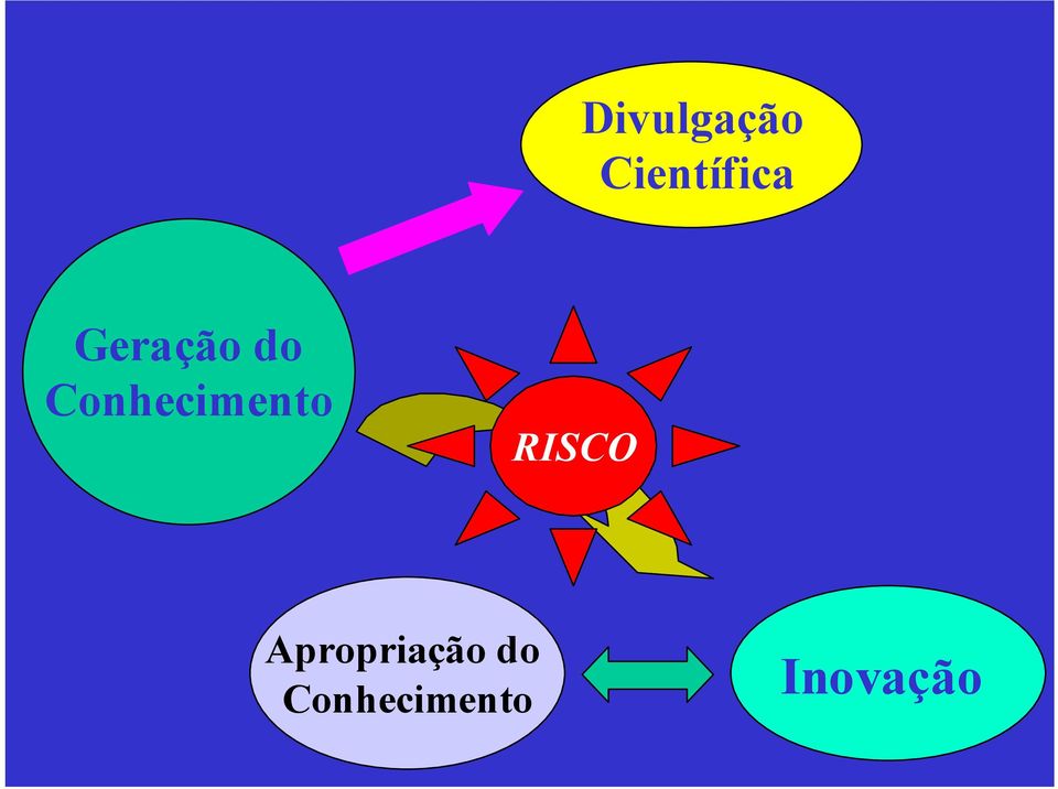 Conhecimento RISCO