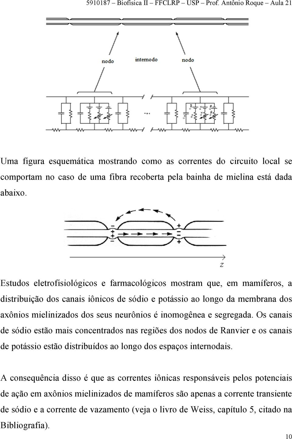 Estudos eletrofisiológicos e faracológicos ostra que, e aíferos, a distribuição dos canais iônicos de sódio e potássio ao longo da ebrana dos axônios ielinizados dos seus neurônios é inoogênea e