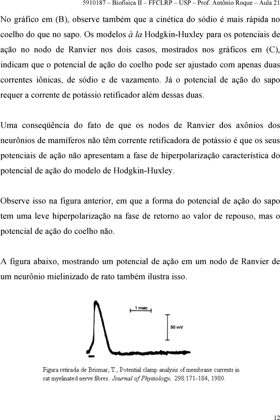 correntes iônicas, de sódio e de vazaento. Já o potencial de ação do sapo requer a corrente de potássio retificador alé dessas duas.