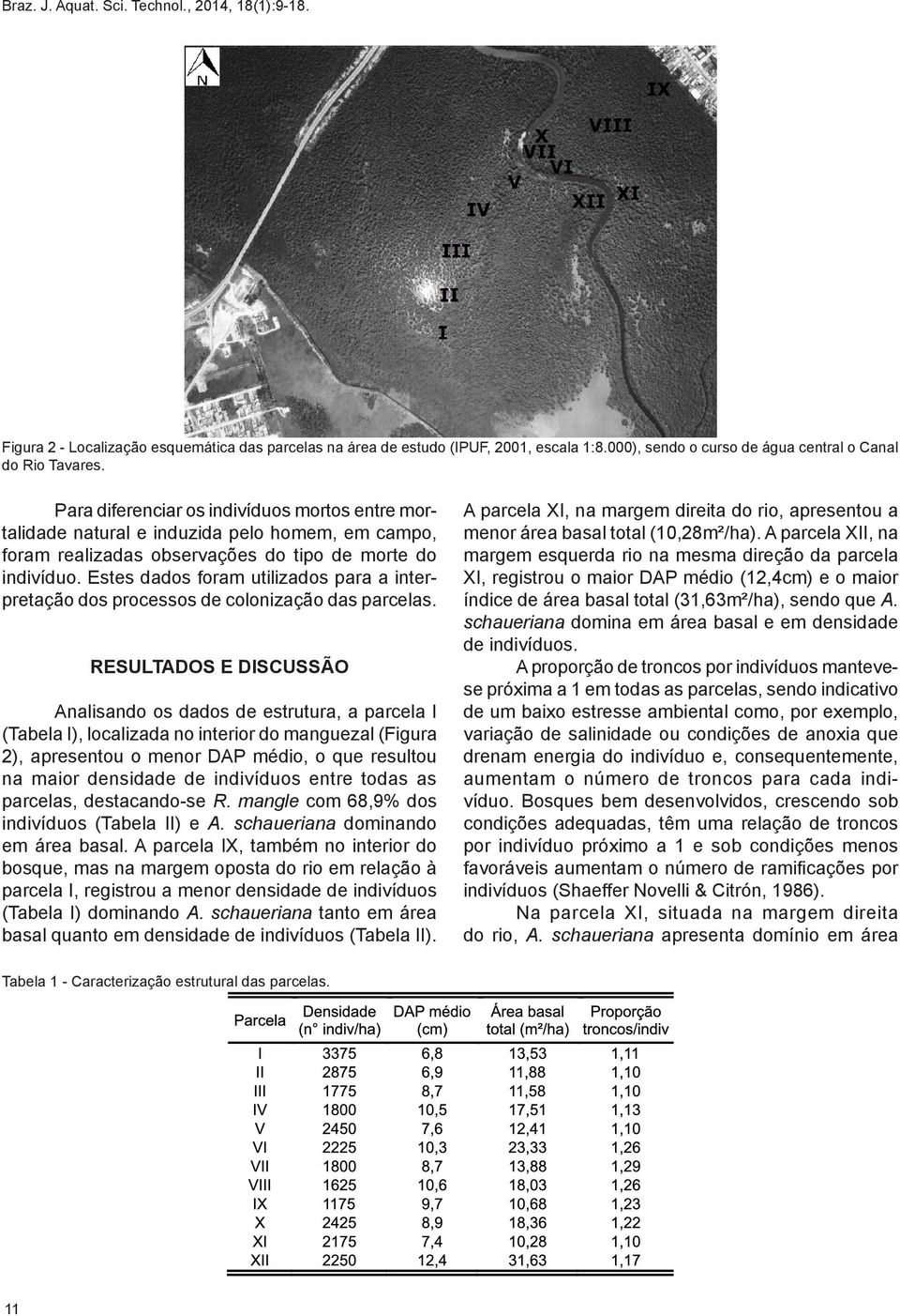 Estes dados foram utilizados para a interpretação dos processos de colonização das parcelas.