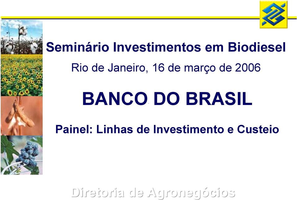 março de 2006 BANCO DO BRASIL