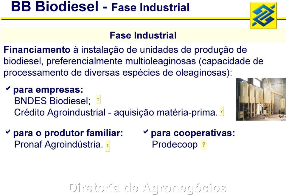 diversas espécies de oleaginosas): apara empresas: BNDES Biodiesel; Crédito Agroindustrial -