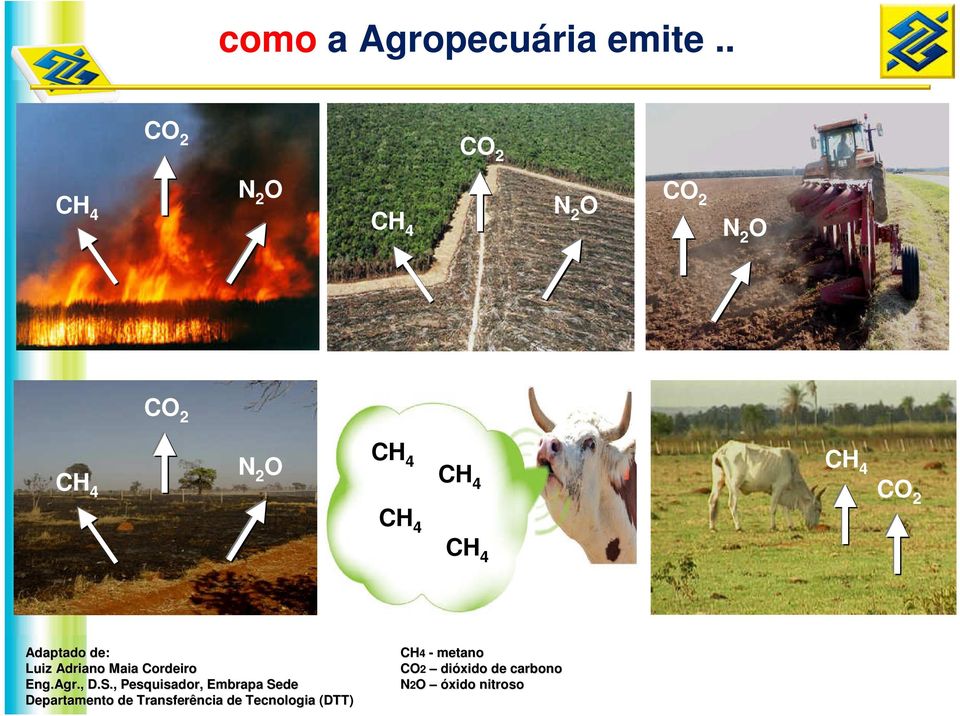 CO2 CH 4 CH 4 Adaptado de: Luiz Adriano Maia Cordeiro Eng.Agr Agr., D.S.