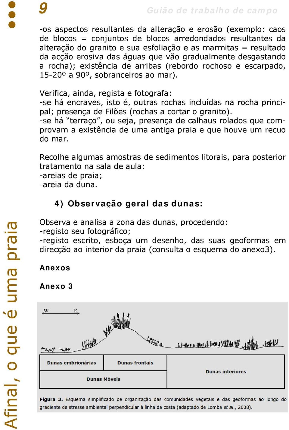 Verifica, ainda, regista e fotografa: -se há encraves, isto é, outras rochas incluídas na rocha principal; presença de Filões (rochas a cortar o granito).