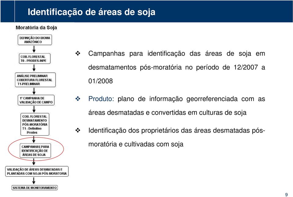 01/2008 Produto: plano de informação georreferenciada com as áreas desmatadas e convertidas