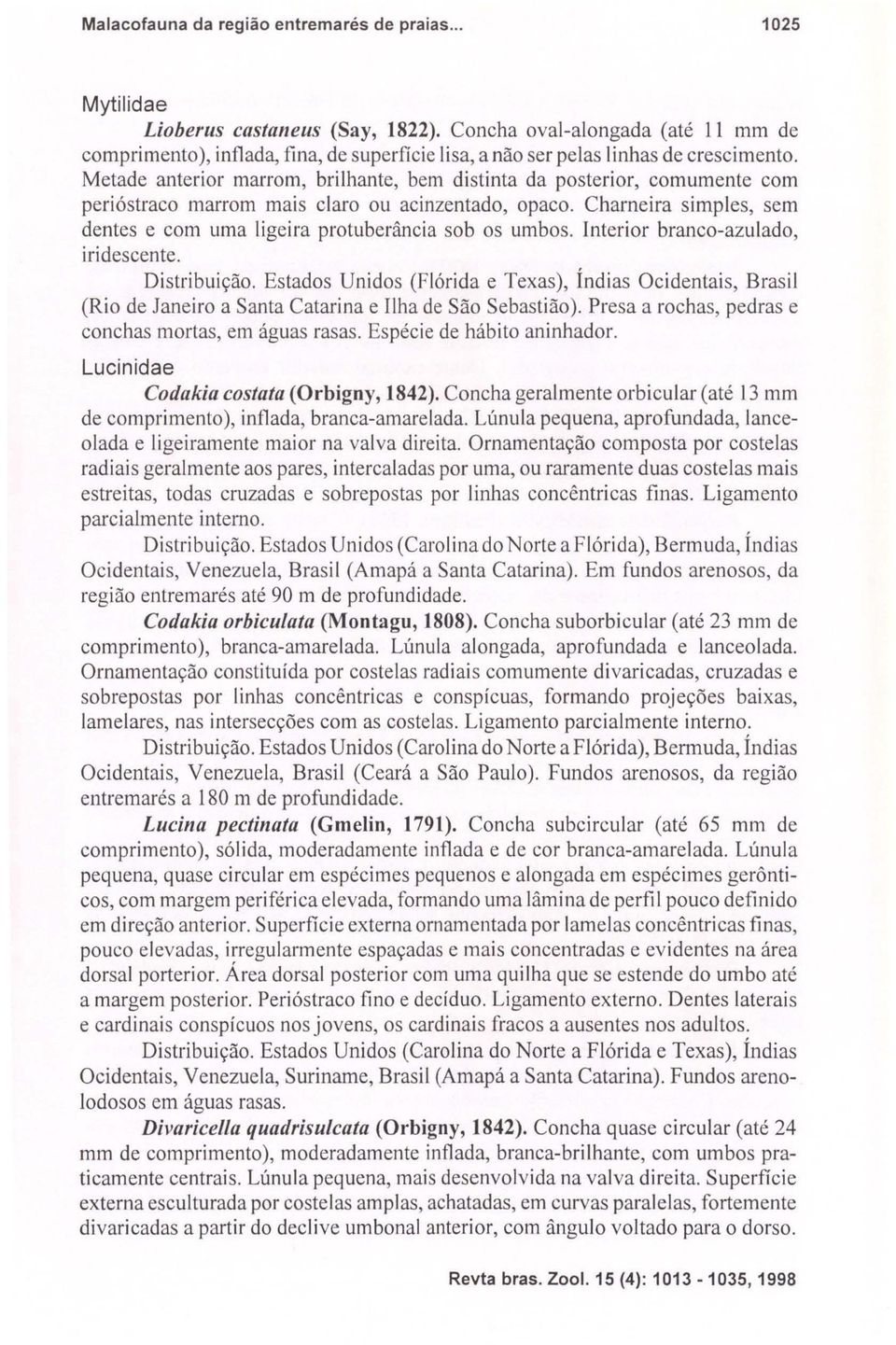 Metade anterior marrom, brilhante, bem distinta da posterior, comumente com perióstraco marrom mais claro ou acinzentado, opaco.