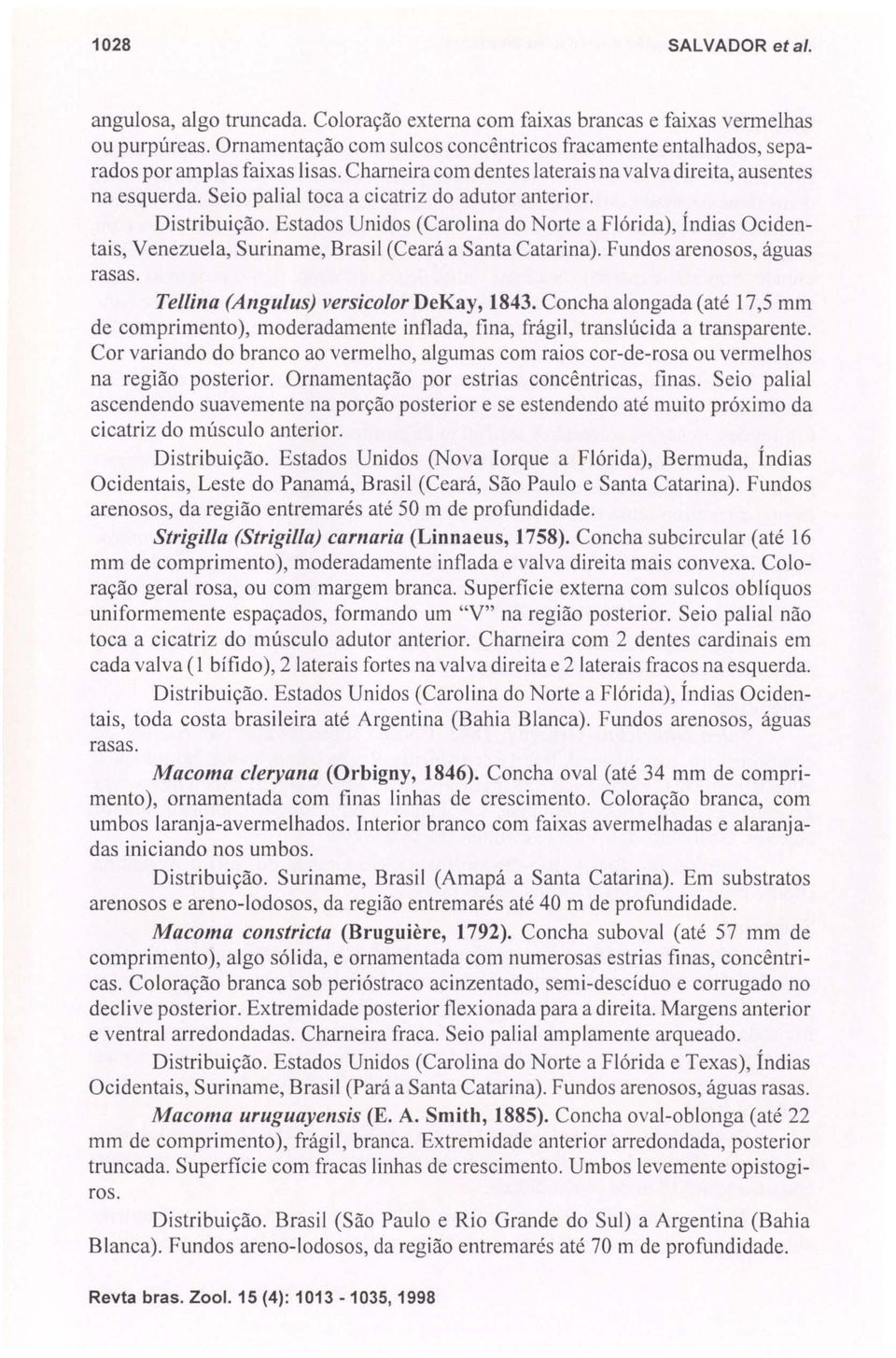 Seio paliai toca a cicatriz do adutor anterior. Distribuição. Estados Unidos (Carolina do Norte a Flórida), Índias Ocidentais, Venezuela, Suriname, Brasil (Ceará a Santa Catarina).