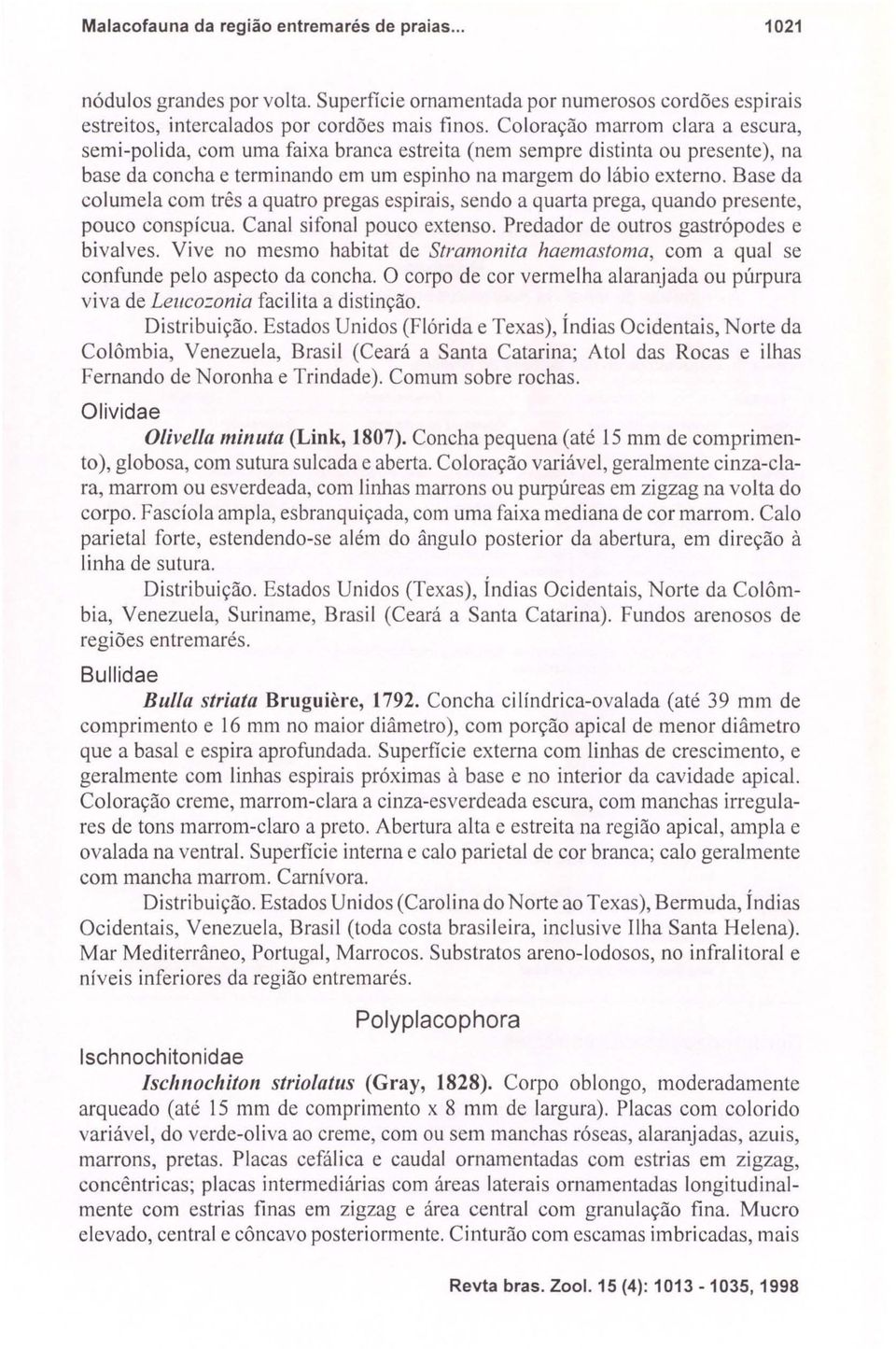 Base da columela com três a quatro pregas espirais, sendo a quarta prega, quando presente, pouco conspícua. Canal sifonal pouco extenso. Predador de outros gastrópodes e bivalves.