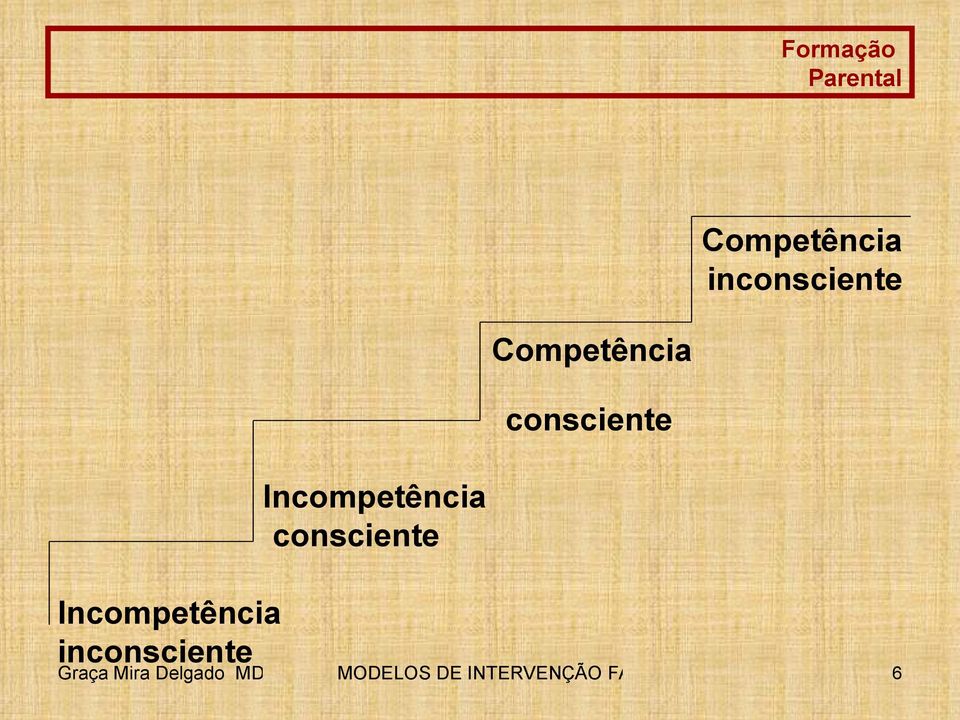 Incompetência inconsciente Graça Mira