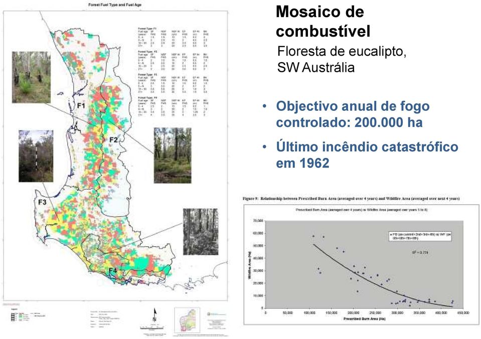 anual de fogo controlado: 200.