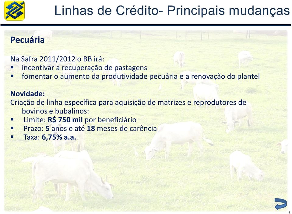 específica para aquisição de matrizes e reprodutores de bovinos e bubalinos: Limite:
