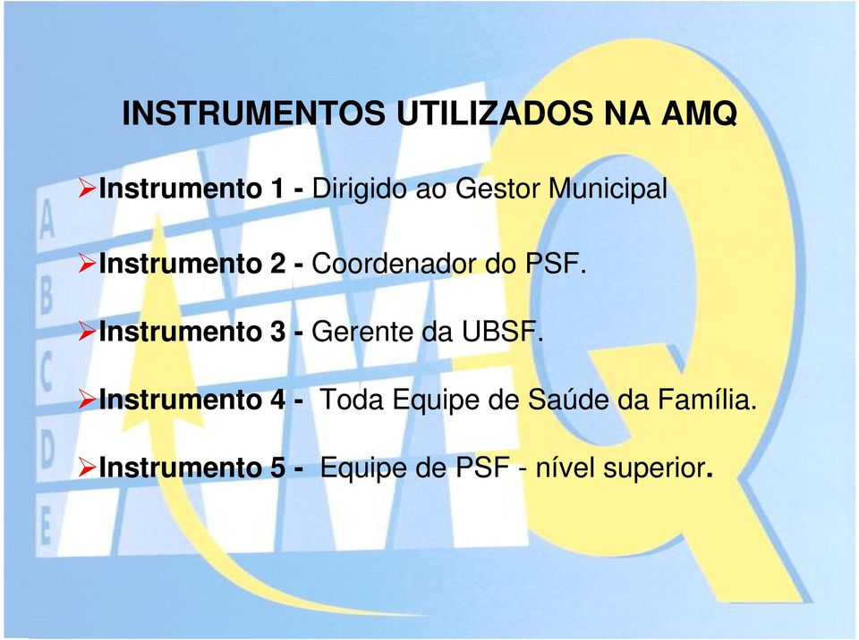 Instrumento 3 - Gerente da UBSF.