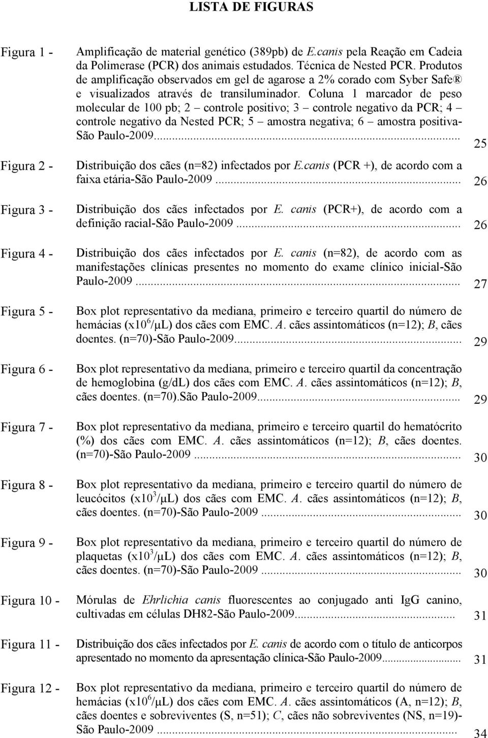 Produtos de amplificação observados em gel de agarose a 2% corado com Syber Safe e visualizados através de transiluminador.