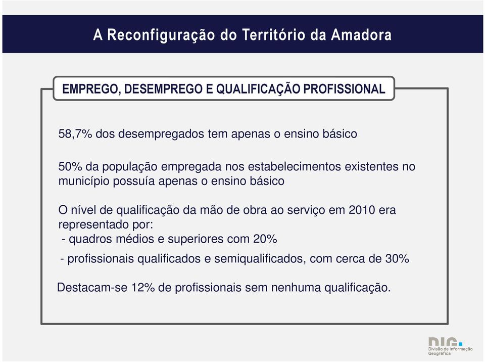 qualificação da mão de obra ao serviço em 2010 era representado por: - quadros médios e superiores com 20% -