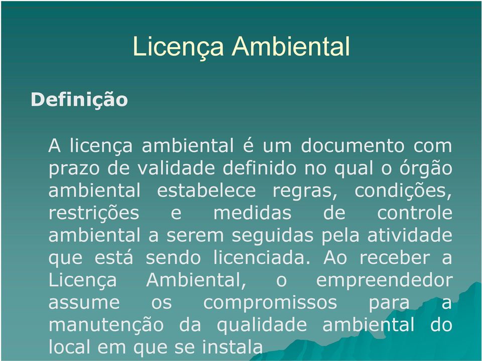 serem seguidas pela atividade que está sendo licenciada.